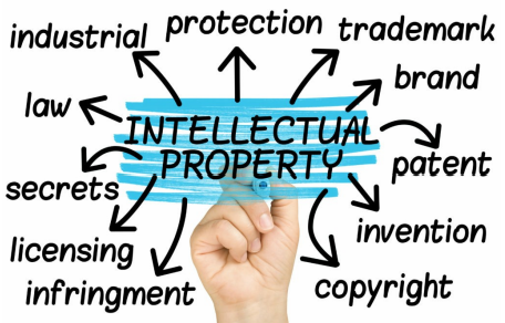 Novel points of revised Intellectual Property Law